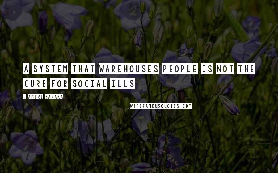 Amiri Baraka Quotes: A system that warehouses people is not the cure for social ills