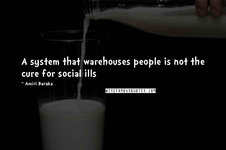 Amiri Baraka Quotes: A system that warehouses people is not the cure for social ills