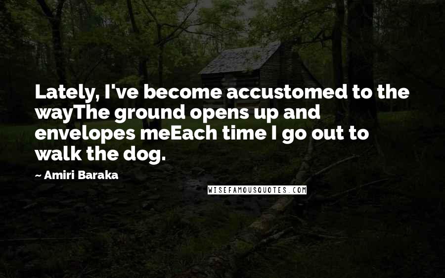 Amiri Baraka Quotes: Lately, I've become accustomed to the wayThe ground opens up and envelopes meEach time I go out to walk the dog.