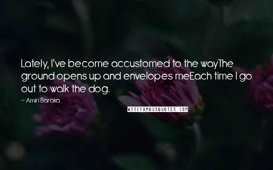 Amiri Baraka Quotes: Lately, I've become accustomed to the wayThe ground opens up and envelopes meEach time I go out to walk the dog.