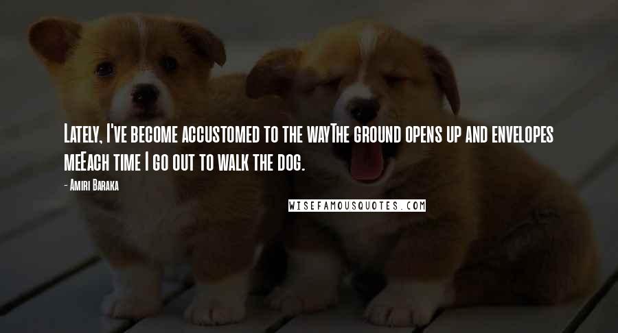 Amiri Baraka Quotes: Lately, I've become accustomed to the wayThe ground opens up and envelopes meEach time I go out to walk the dog.