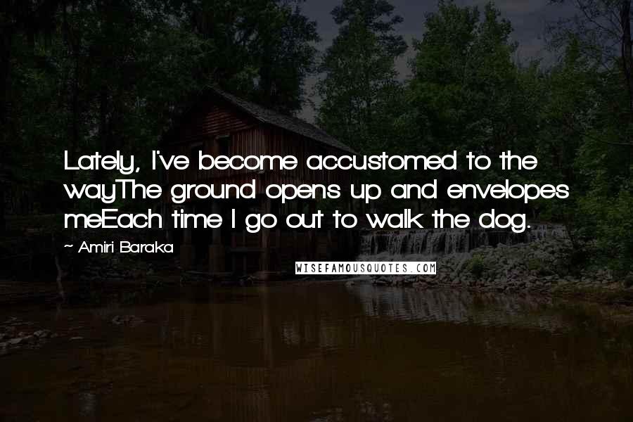 Amiri Baraka Quotes: Lately, I've become accustomed to the wayThe ground opens up and envelopes meEach time I go out to walk the dog.