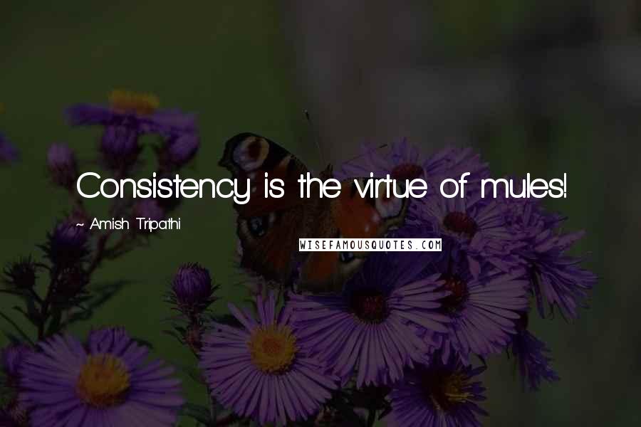 Amish Tripathi Quotes: Consistency is the virtue of mules!