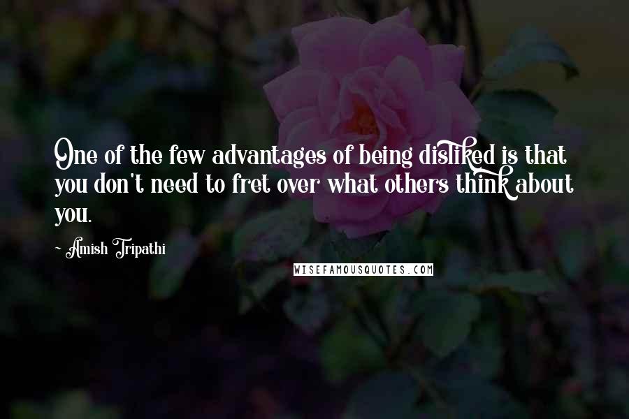 Amish Tripathi Quotes: One of the few advantages of being disliked is that you don't need to fret over what others think about you.