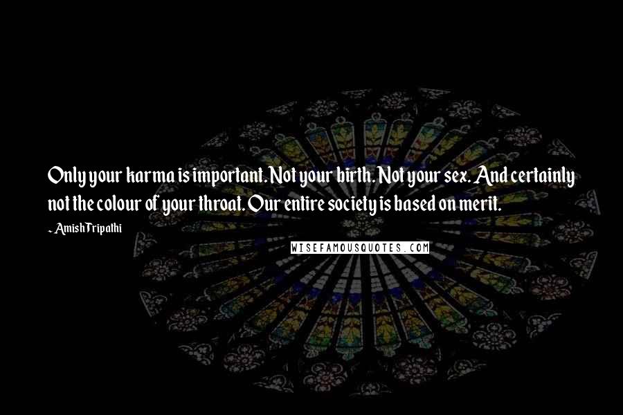 Amish Tripathi Quotes: Only your karma is important. Not your birth. Not your sex. And certainly not the colour of your throat. Our entire society is based on merit.