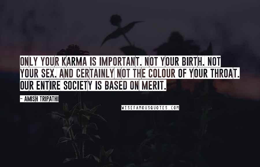 Amish Tripathi Quotes: Only your karma is important. Not your birth. Not your sex. And certainly not the colour of your throat. Our entire society is based on merit.