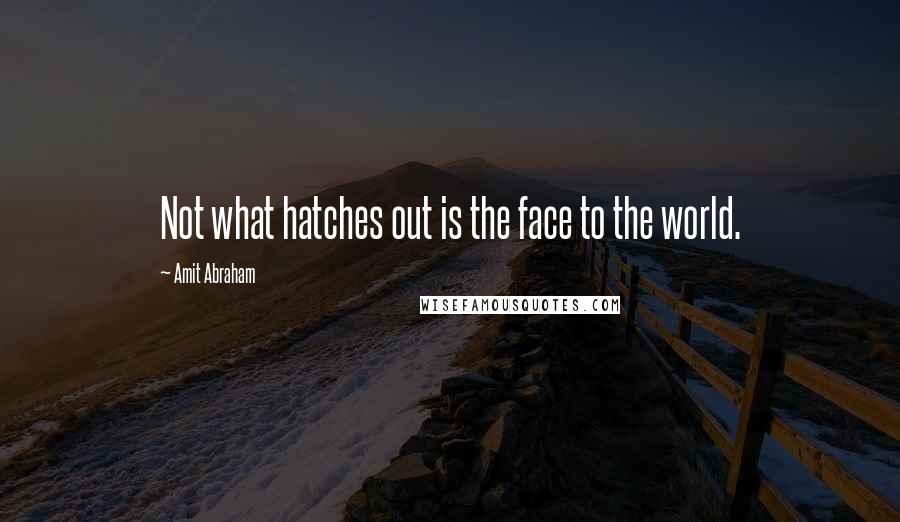 Amit Abraham Quotes: Not what hatches out is the face to the world.
