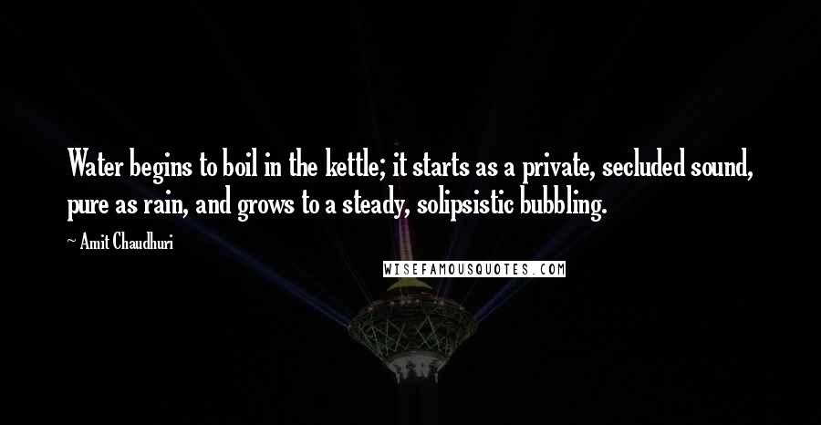 Amit Chaudhuri Quotes: Water begins to boil in the kettle; it starts as a private, secluded sound, pure as rain, and grows to a steady, solipsistic bubbling.