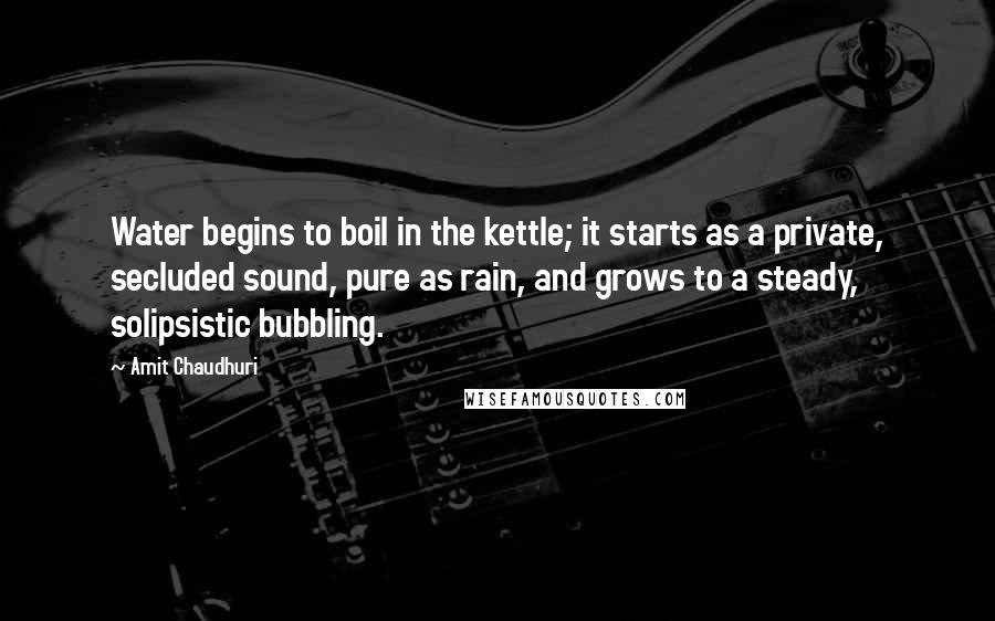 Amit Chaudhuri Quotes: Water begins to boil in the kettle; it starts as a private, secluded sound, pure as rain, and grows to a steady, solipsistic bubbling.