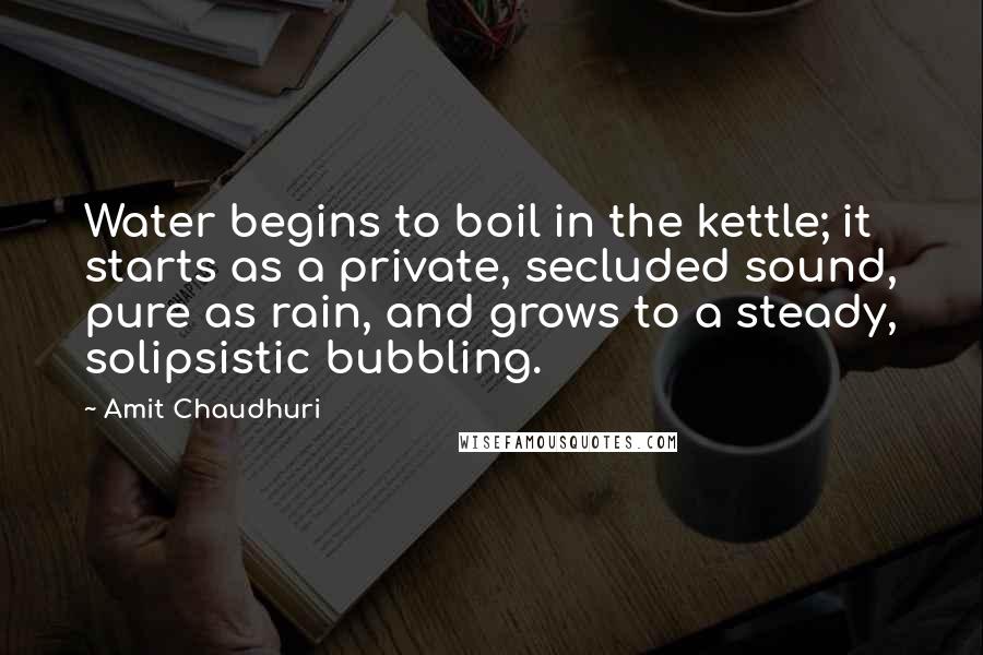 Amit Chaudhuri Quotes: Water begins to boil in the kettle; it starts as a private, secluded sound, pure as rain, and grows to a steady, solipsistic bubbling.