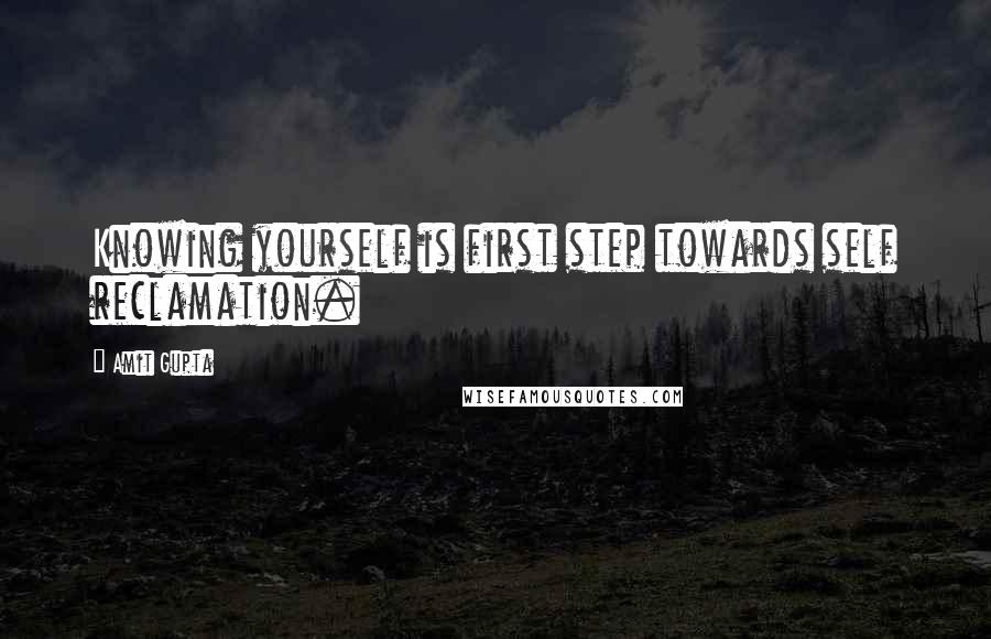 Amit Gupta Quotes: Knowing yourself is first step towards self reclamation.