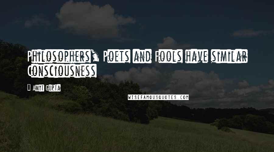 Amit Gupta Quotes: Philosophers, Poets and Fools have similar Consciousness