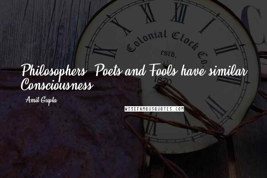 Amit Gupta Quotes: Philosophers, Poets and Fools have similar Consciousness