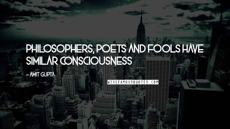 Amit Gupta Quotes: Philosophers, Poets and Fools have similar Consciousness