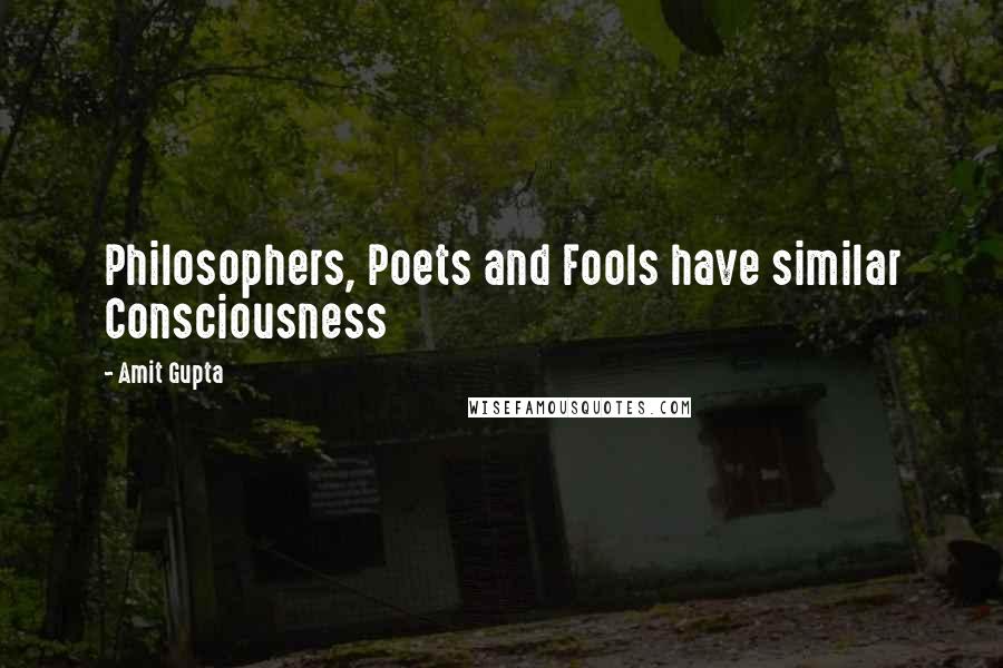 Amit Gupta Quotes: Philosophers, Poets and Fools have similar Consciousness