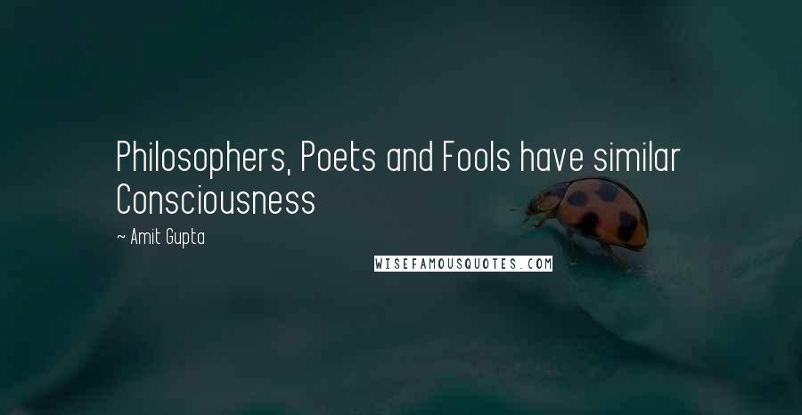 Amit Gupta Quotes: Philosophers, Poets and Fools have similar Consciousness