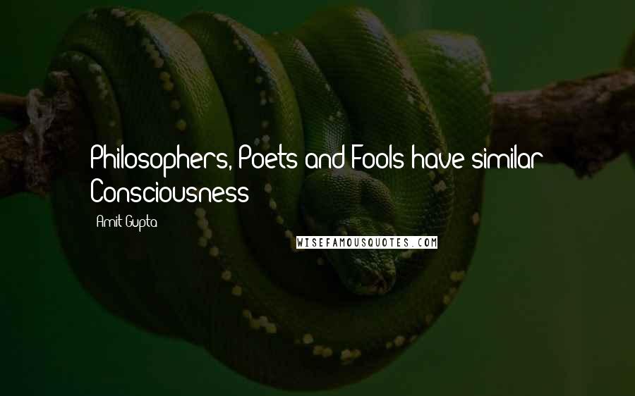 Amit Gupta Quotes: Philosophers, Poets and Fools have similar Consciousness