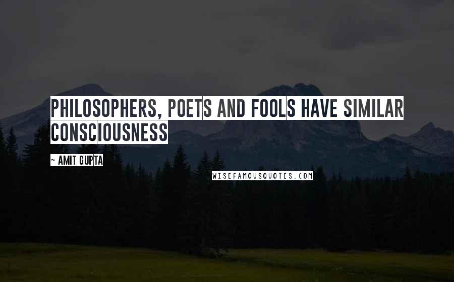 Amit Gupta Quotes: Philosophers, Poets and Fools have similar Consciousness