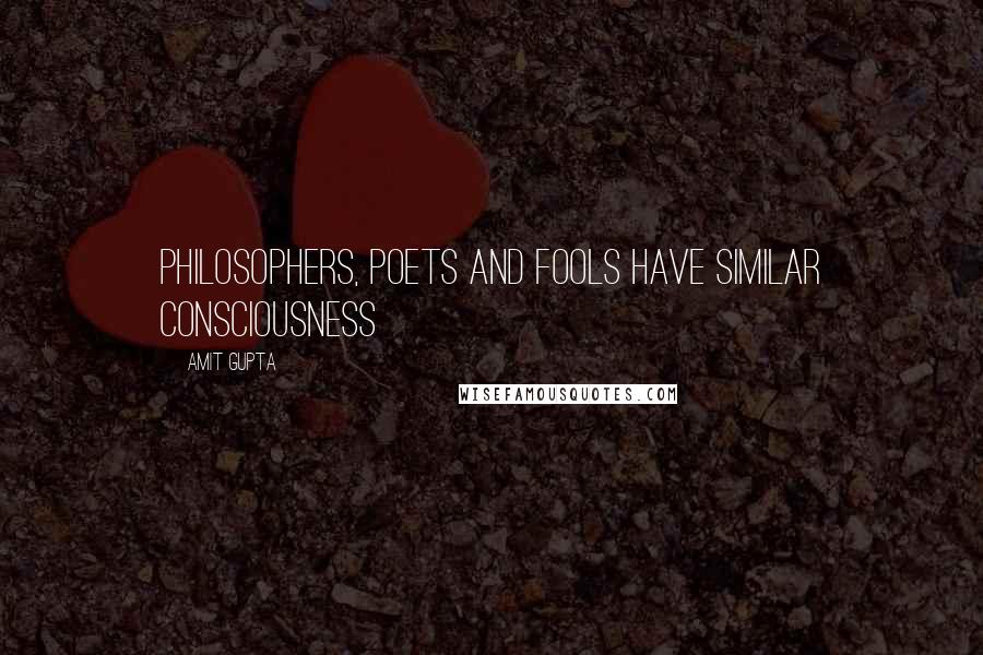 Amit Gupta Quotes: Philosophers, Poets and Fools have similar Consciousness