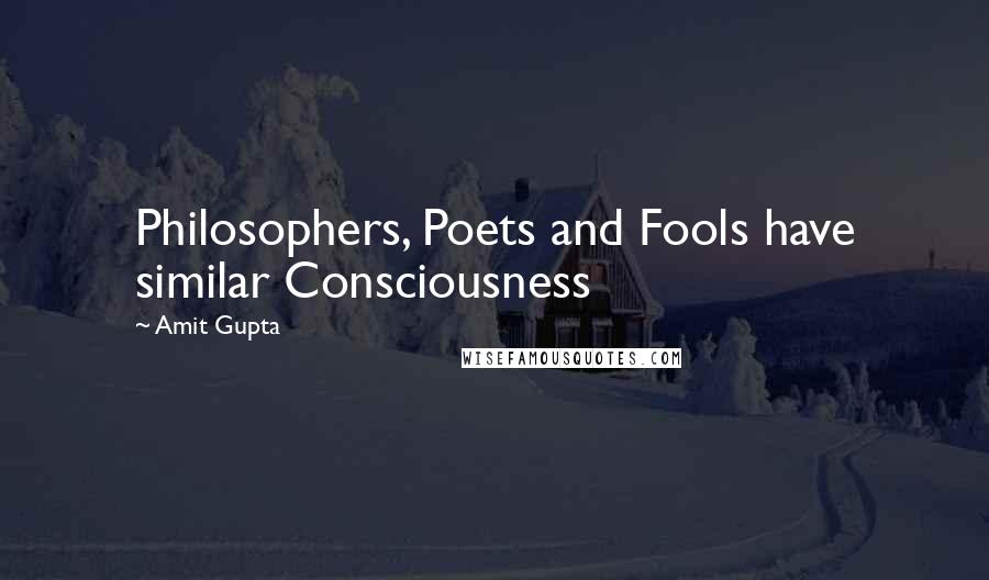 Amit Gupta Quotes: Philosophers, Poets and Fools have similar Consciousness