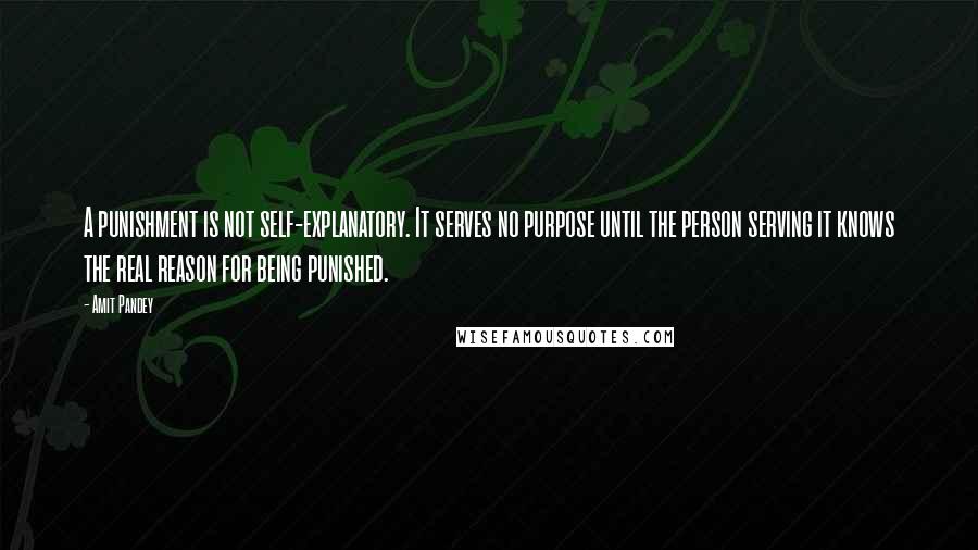 Amit Pandey Quotes: A punishment is not self-explanatory. It serves no purpose until the person serving it knows the real reason for being punished.