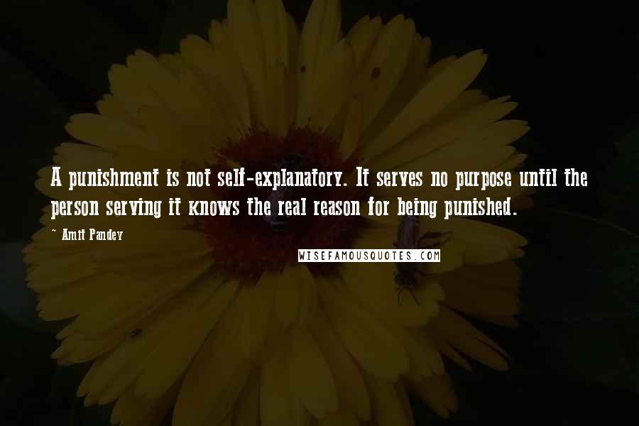 Amit Pandey Quotes: A punishment is not self-explanatory. It serves no purpose until the person serving it knows the real reason for being punished.