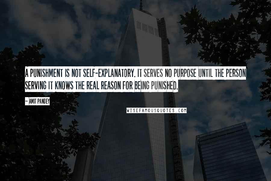 Amit Pandey Quotes: A punishment is not self-explanatory. It serves no purpose until the person serving it knows the real reason for being punished.