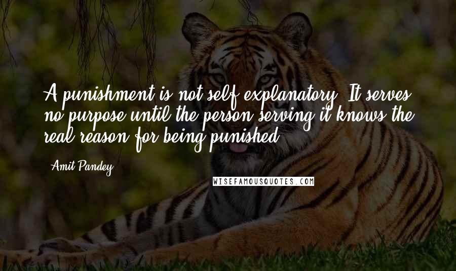 Amit Pandey Quotes: A punishment is not self-explanatory. It serves no purpose until the person serving it knows the real reason for being punished.