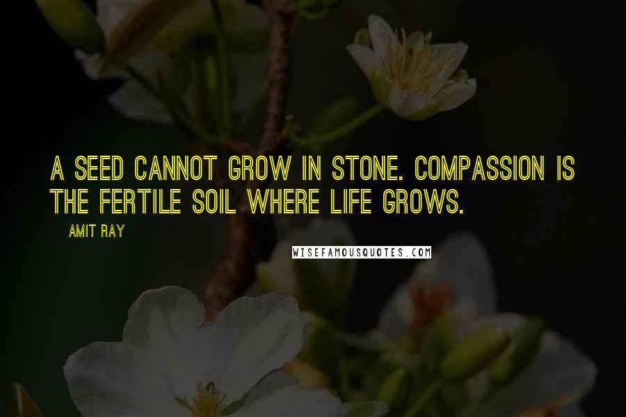 Amit Ray Quotes: A seed cannot grow in stone. Compassion is the fertile soil where life grows.