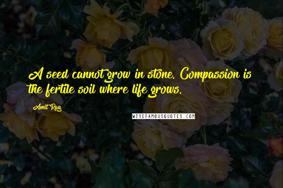 Amit Ray Quotes: A seed cannot grow in stone. Compassion is the fertile soil where life grows.