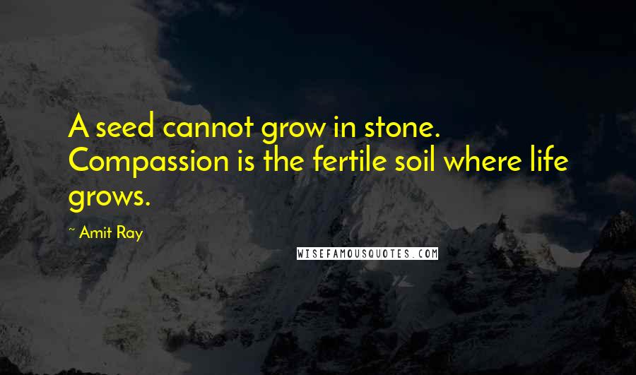 Amit Ray Quotes: A seed cannot grow in stone. Compassion is the fertile soil where life grows.