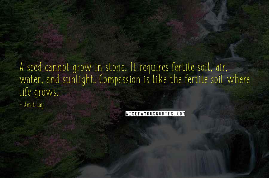 Amit Ray Quotes: A seed cannot grow in stone. It requires fertile soil, air, water, and sunlight. Compassion is like the fertile soil where life grows.