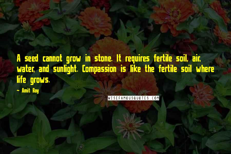 Amit Ray Quotes: A seed cannot grow in stone. It requires fertile soil, air, water, and sunlight. Compassion is like the fertile soil where life grows.