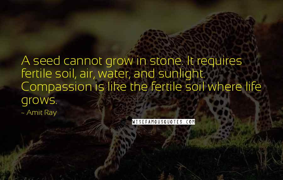 Amit Ray Quotes: A seed cannot grow in stone. It requires fertile soil, air, water, and sunlight. Compassion is like the fertile soil where life grows.