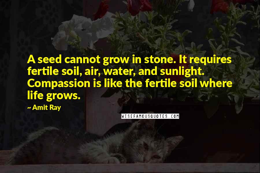 Amit Ray Quotes: A seed cannot grow in stone. It requires fertile soil, air, water, and sunlight. Compassion is like the fertile soil where life grows.