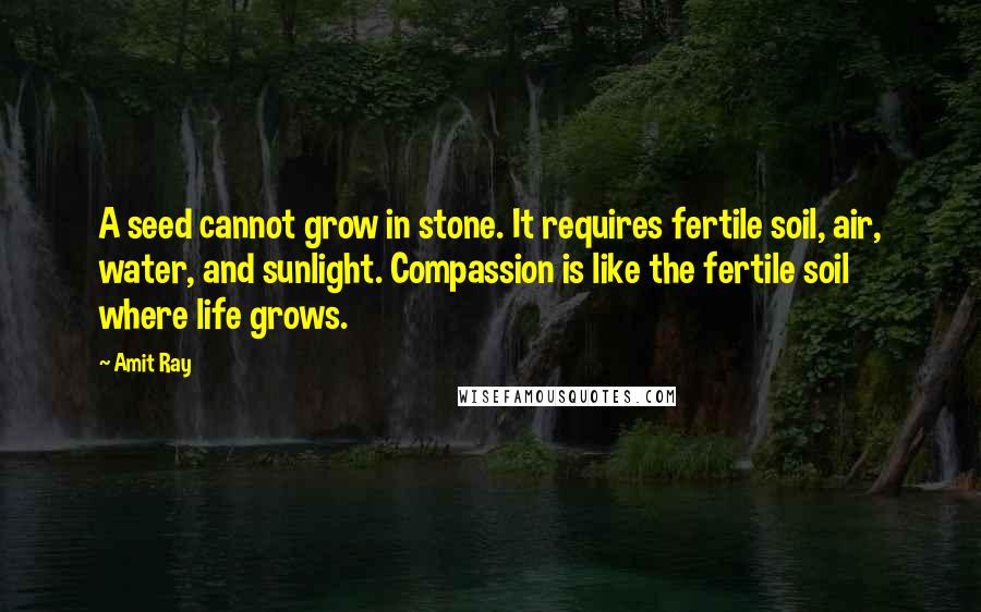 Amit Ray Quotes: A seed cannot grow in stone. It requires fertile soil, air, water, and sunlight. Compassion is like the fertile soil where life grows.