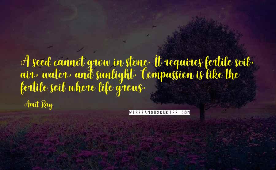 Amit Ray Quotes: A seed cannot grow in stone. It requires fertile soil, air, water, and sunlight. Compassion is like the fertile soil where life grows.
