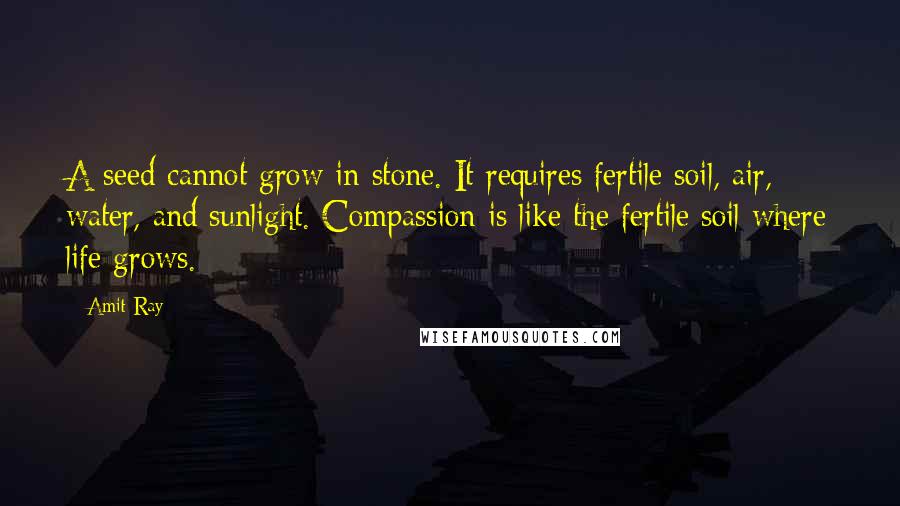 Amit Ray Quotes: A seed cannot grow in stone. It requires fertile soil, air, water, and sunlight. Compassion is like the fertile soil where life grows.