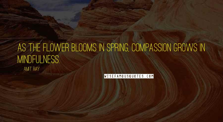 Amit Ray Quotes: As the flower blooms in spring, compassion grows in mindfulness.