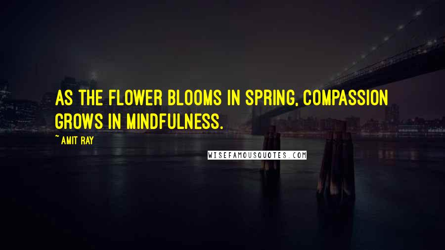 Amit Ray Quotes: As the flower blooms in spring, compassion grows in mindfulness.