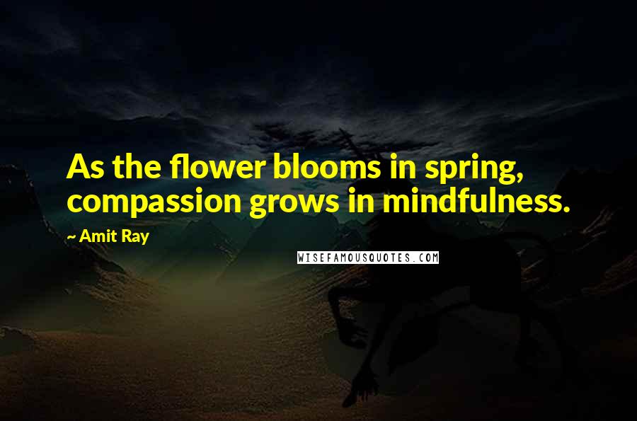 Amit Ray Quotes: As the flower blooms in spring, compassion grows in mindfulness.