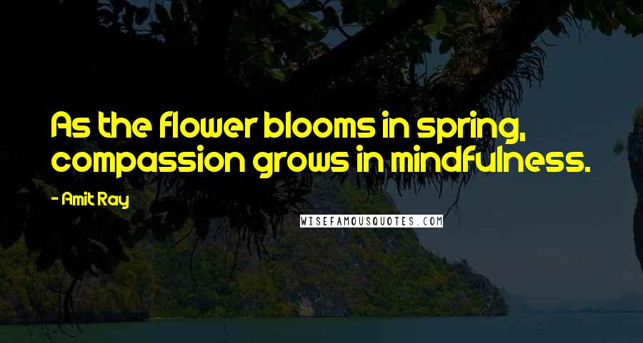 Amit Ray Quotes: As the flower blooms in spring, compassion grows in mindfulness.