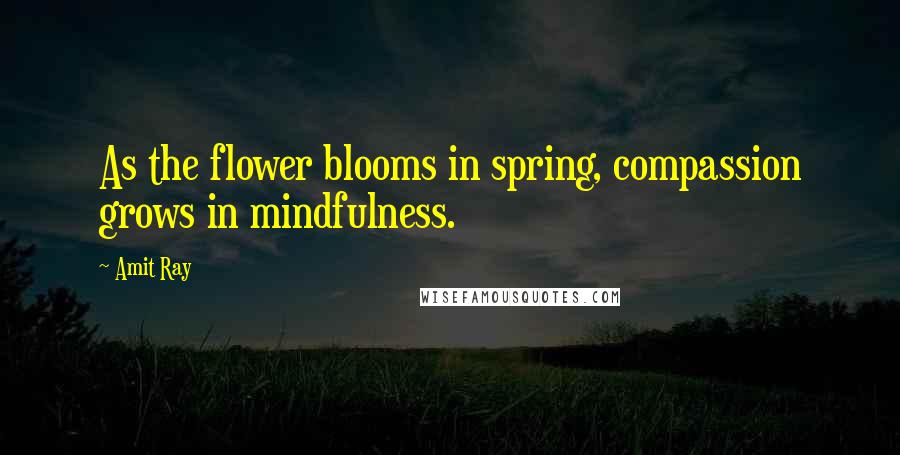 Amit Ray Quotes: As the flower blooms in spring, compassion grows in mindfulness.