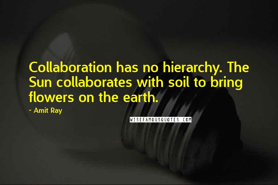 Amit Ray Quotes: Collaboration has no hierarchy. The Sun collaborates with soil to bring flowers on the earth.