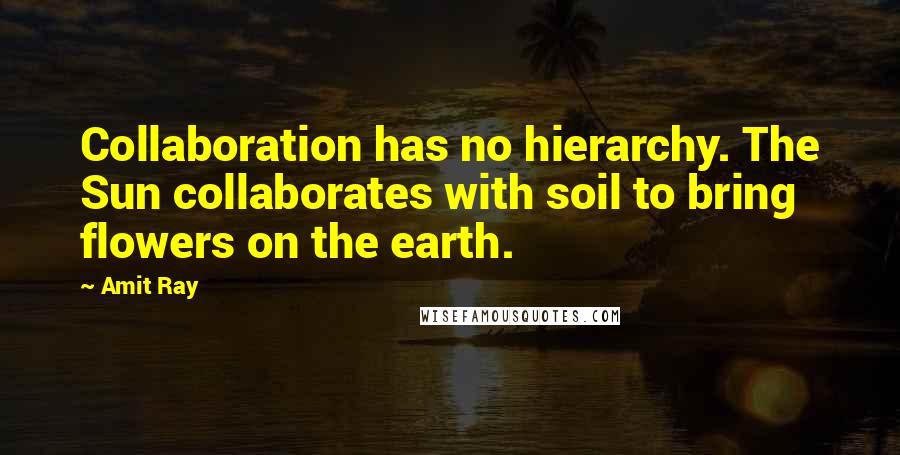 Amit Ray Quotes: Collaboration has no hierarchy. The Sun collaborates with soil to bring flowers on the earth.