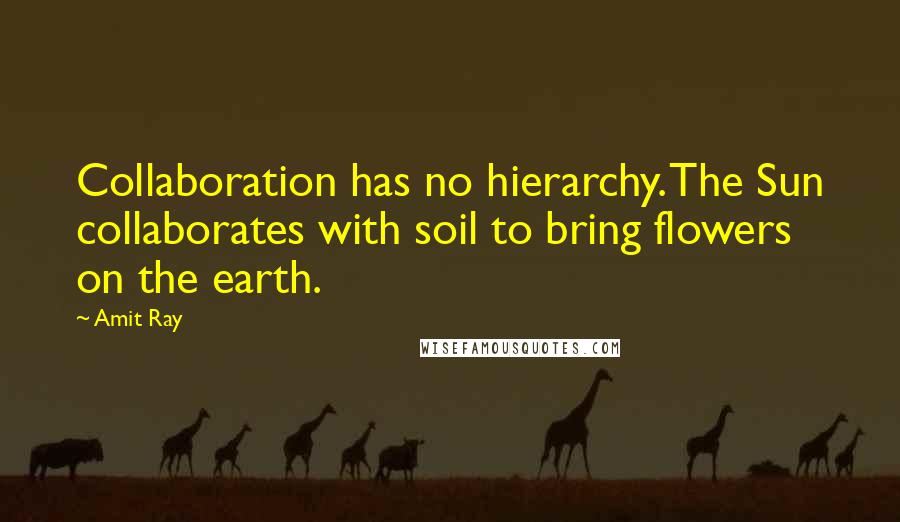 Amit Ray Quotes: Collaboration has no hierarchy. The Sun collaborates with soil to bring flowers on the earth.