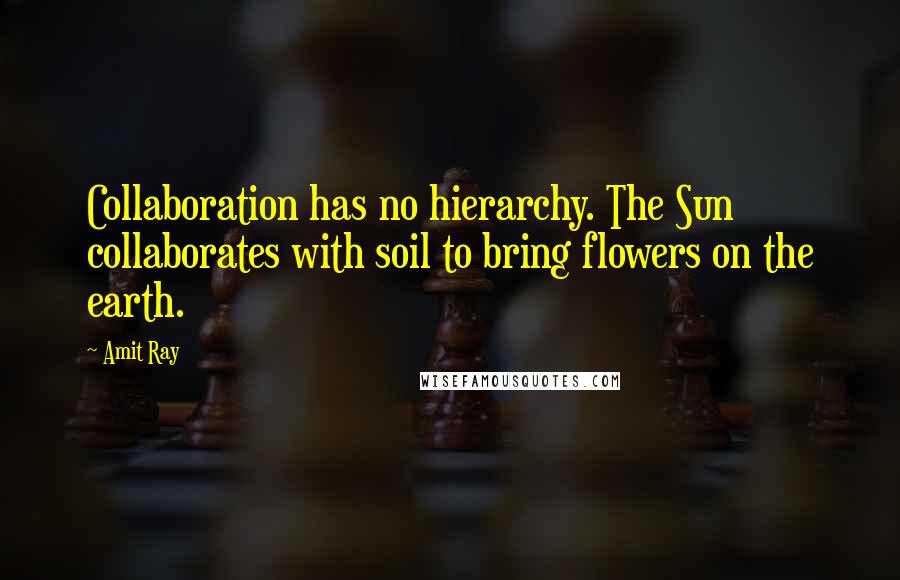 Amit Ray Quotes: Collaboration has no hierarchy. The Sun collaborates with soil to bring flowers on the earth.