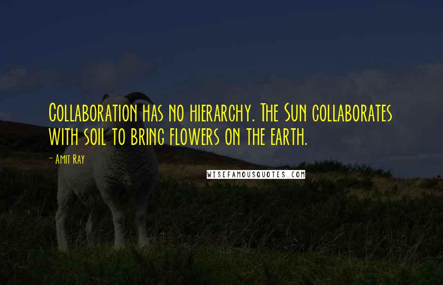 Amit Ray Quotes: Collaboration has no hierarchy. The Sun collaborates with soil to bring flowers on the earth.