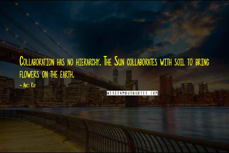 Amit Ray Quotes: Collaboration has no hierarchy. The Sun collaborates with soil to bring flowers on the earth.