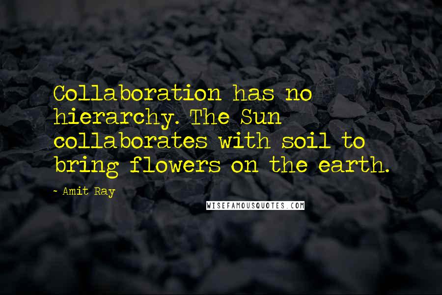 Amit Ray Quotes: Collaboration has no hierarchy. The Sun collaborates with soil to bring flowers on the earth.